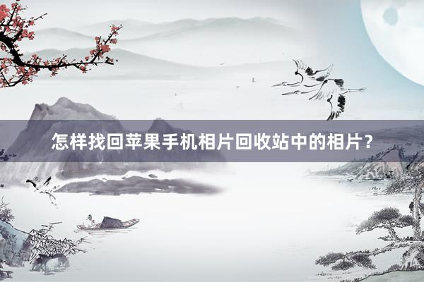 怎样找回苹果手机相片回收站中的相片？
